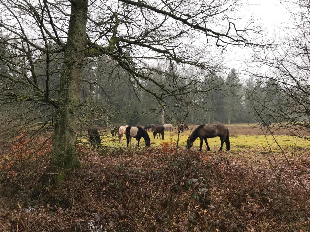 De Kempse Hoeve B&B Boxtel Zewnętrze zdjęcie